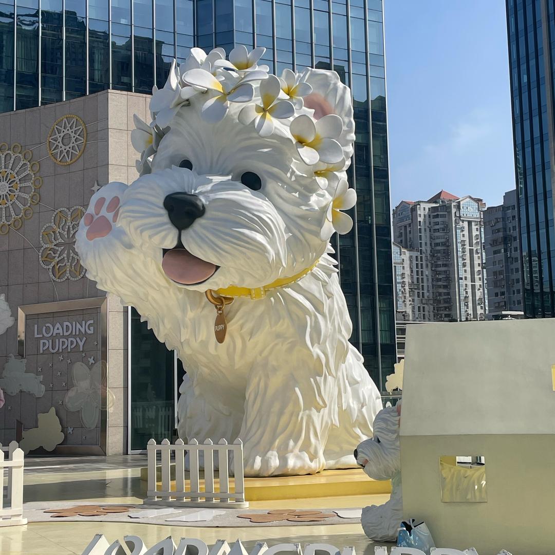 TT小米啾