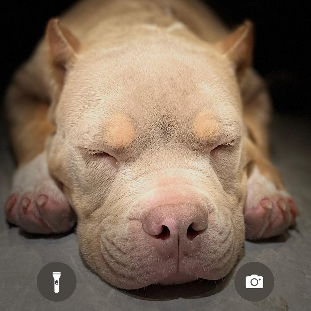 从古田再出发🤏