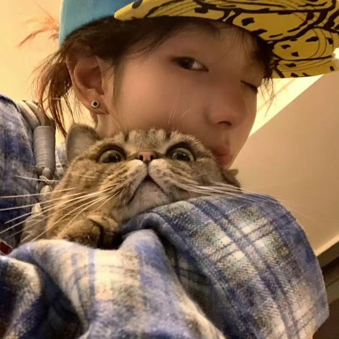 讨厌榴莲喜欢小宋