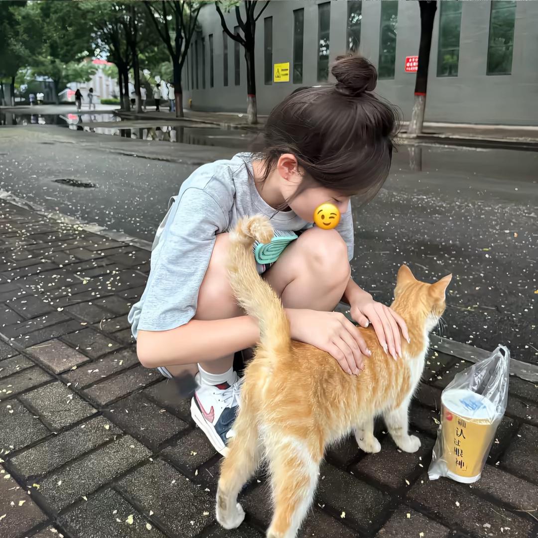 小鱼鱼鱼鱼