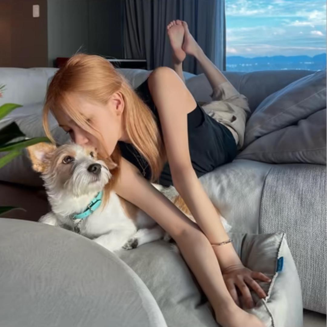 小懒猫