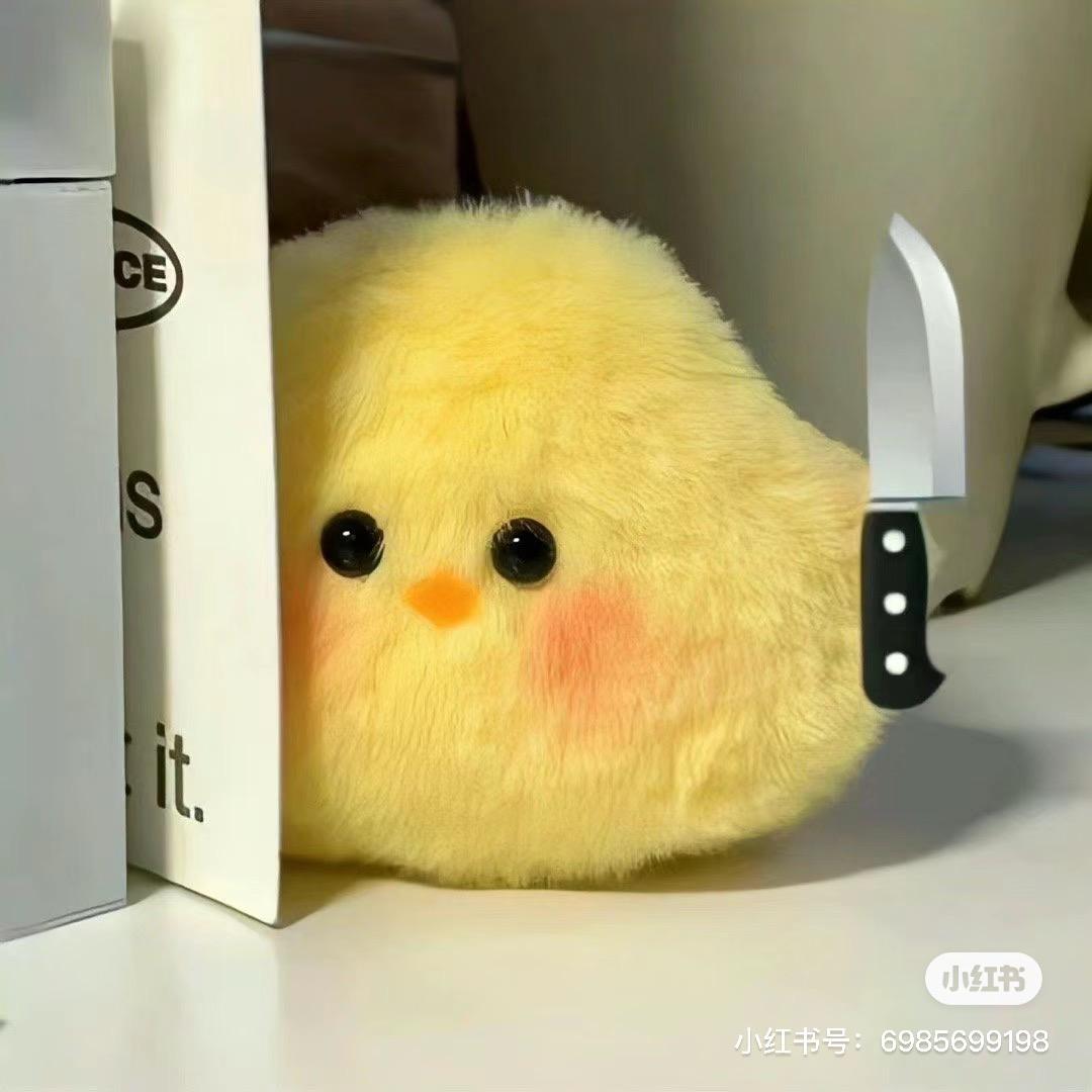 左壹壹