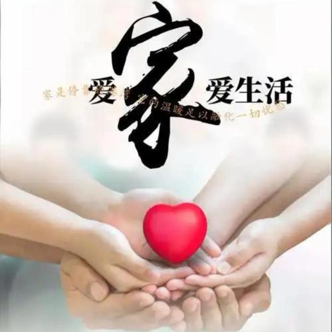 宏源物流广东直达枣庄滕州
