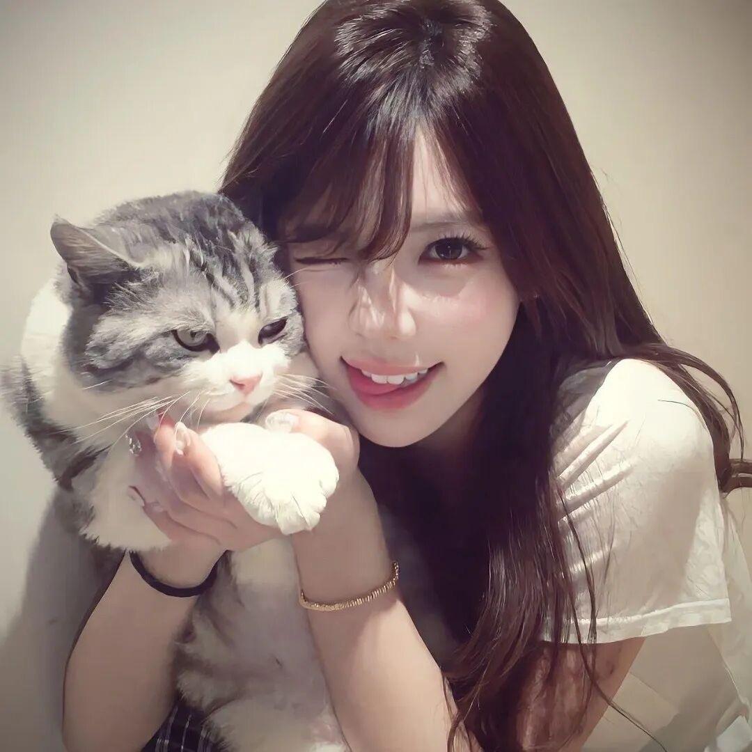 猫老大.