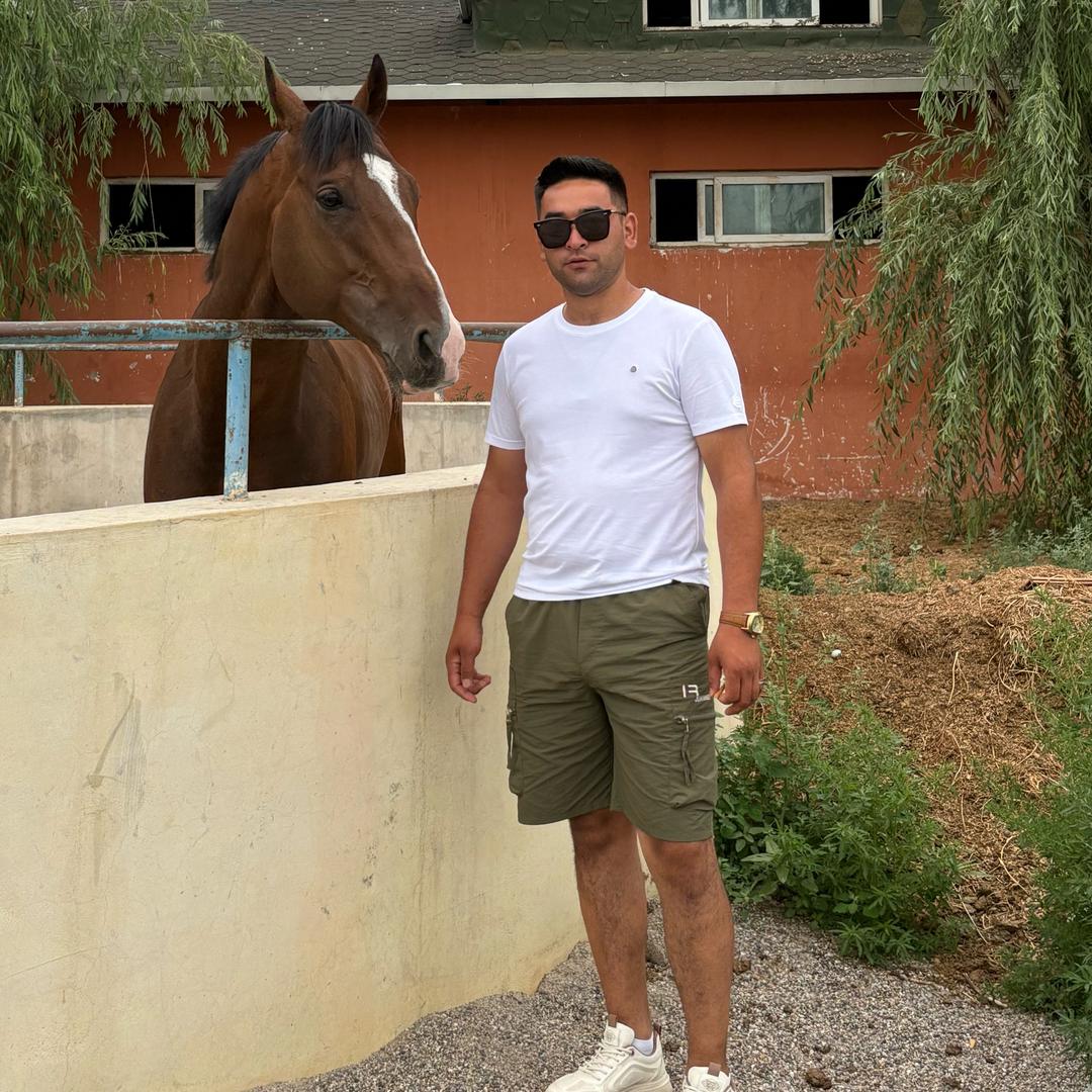 霍尔果斯 马王🐎