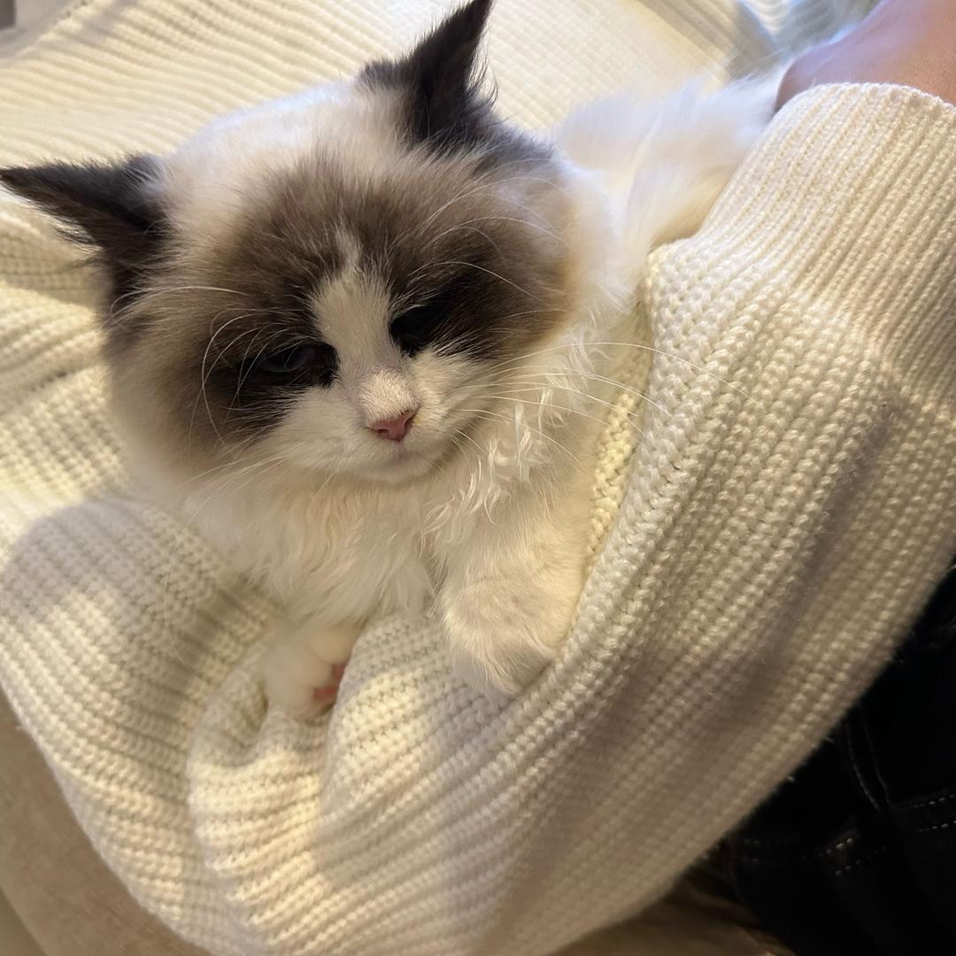 @橙子味儿气泡水🫧