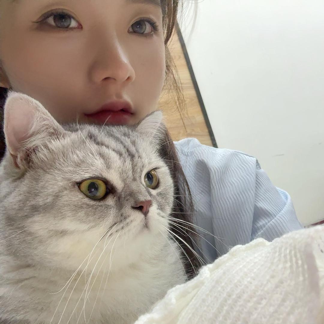 小梅睡不醒-🤍