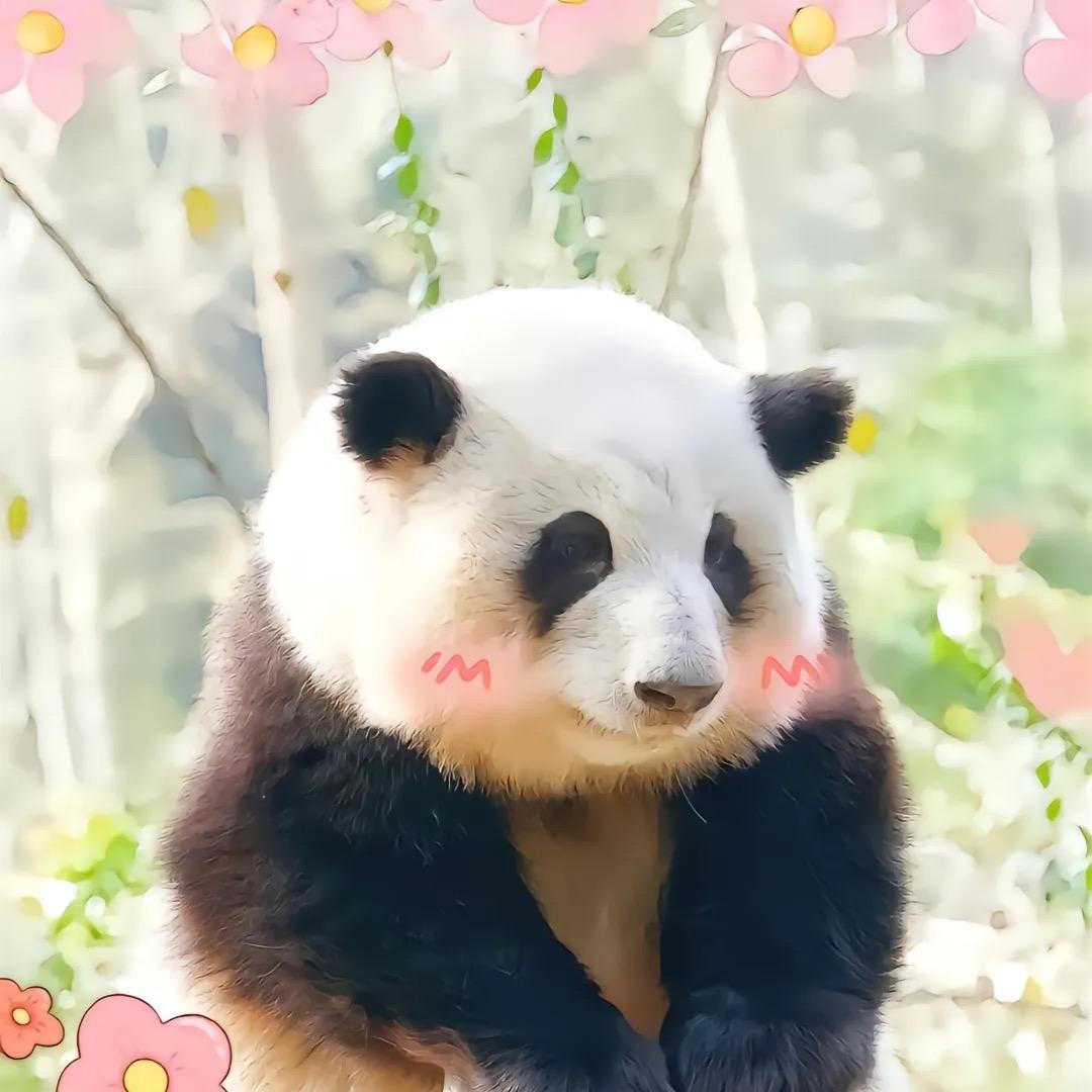 美琪琳潮玩家居