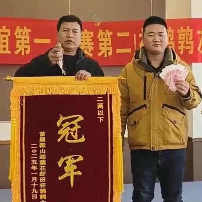 微山湖冠军鹌鹑斗鹌鹑大号