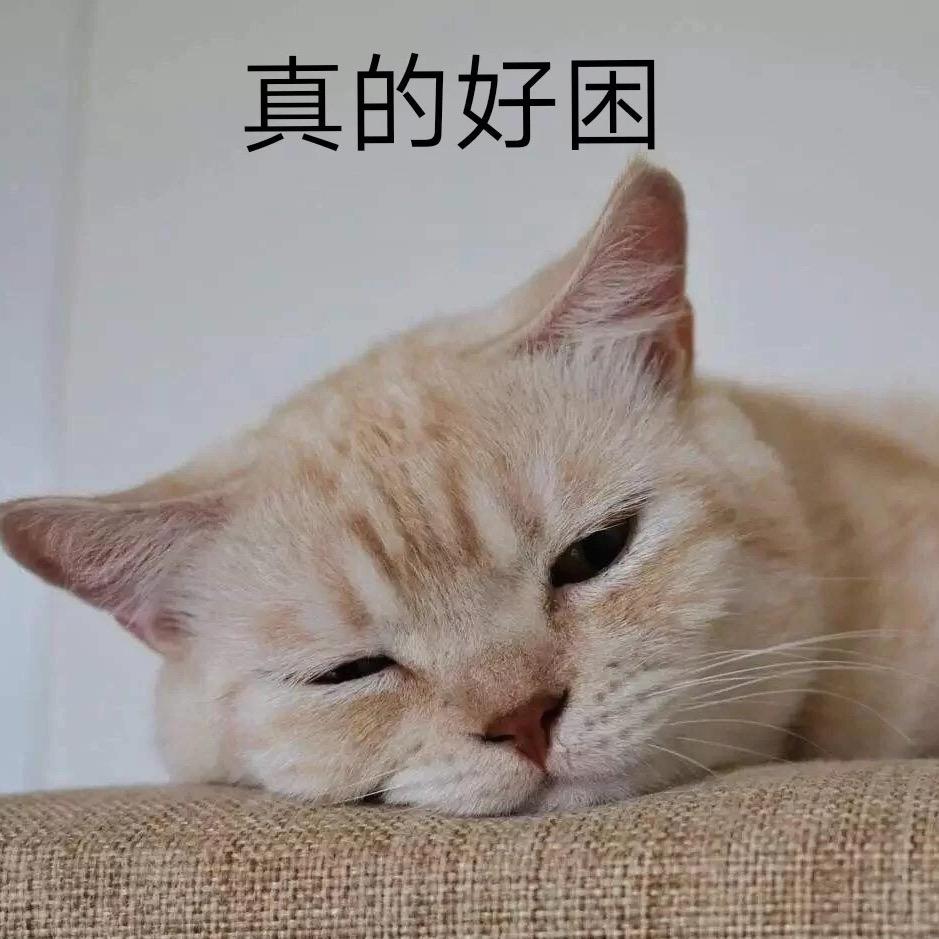 🌈真的好困🌈