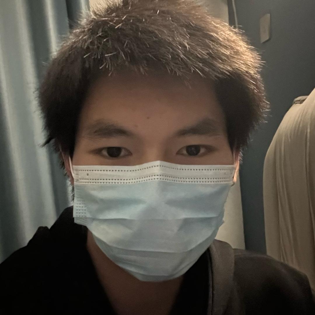 琴史皇
