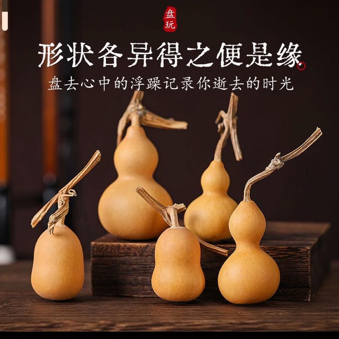 明聚缘