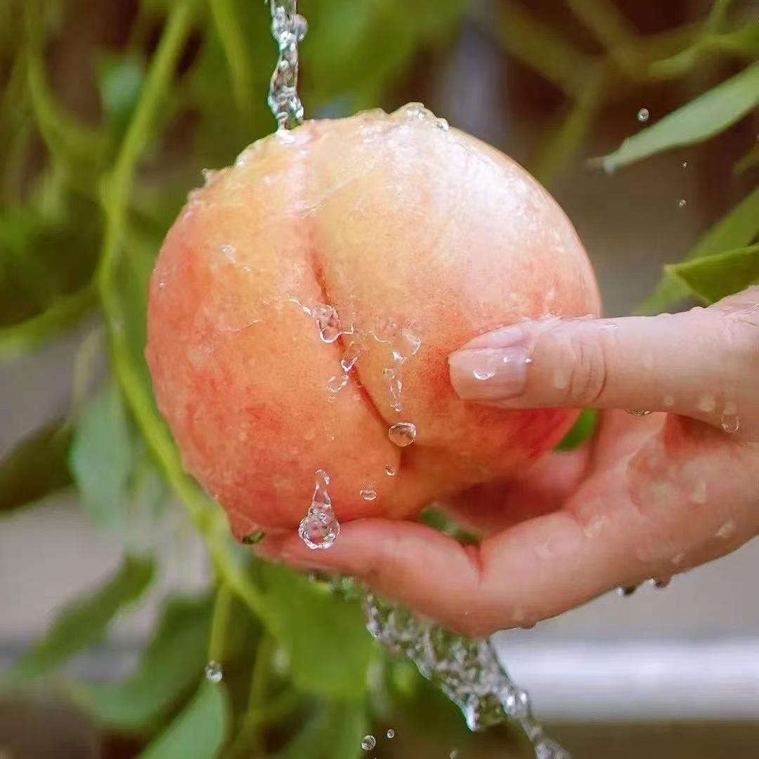 桃渊酩水蜜桃优品店