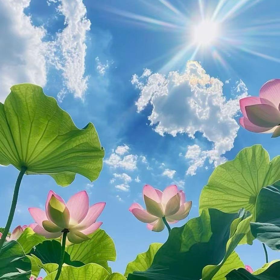 蓝天白云🍀