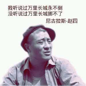 尼古拉斯