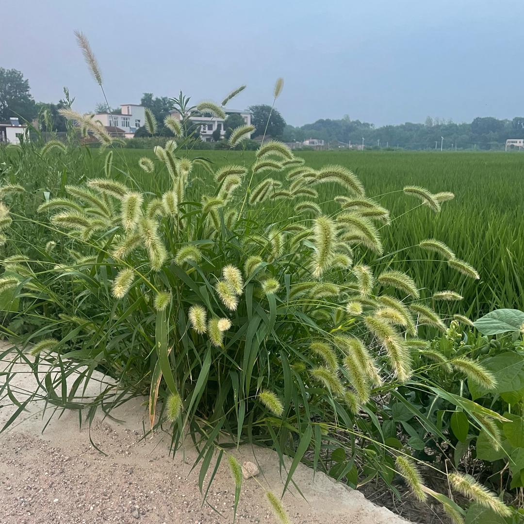 ╰★健康快嚛★╮