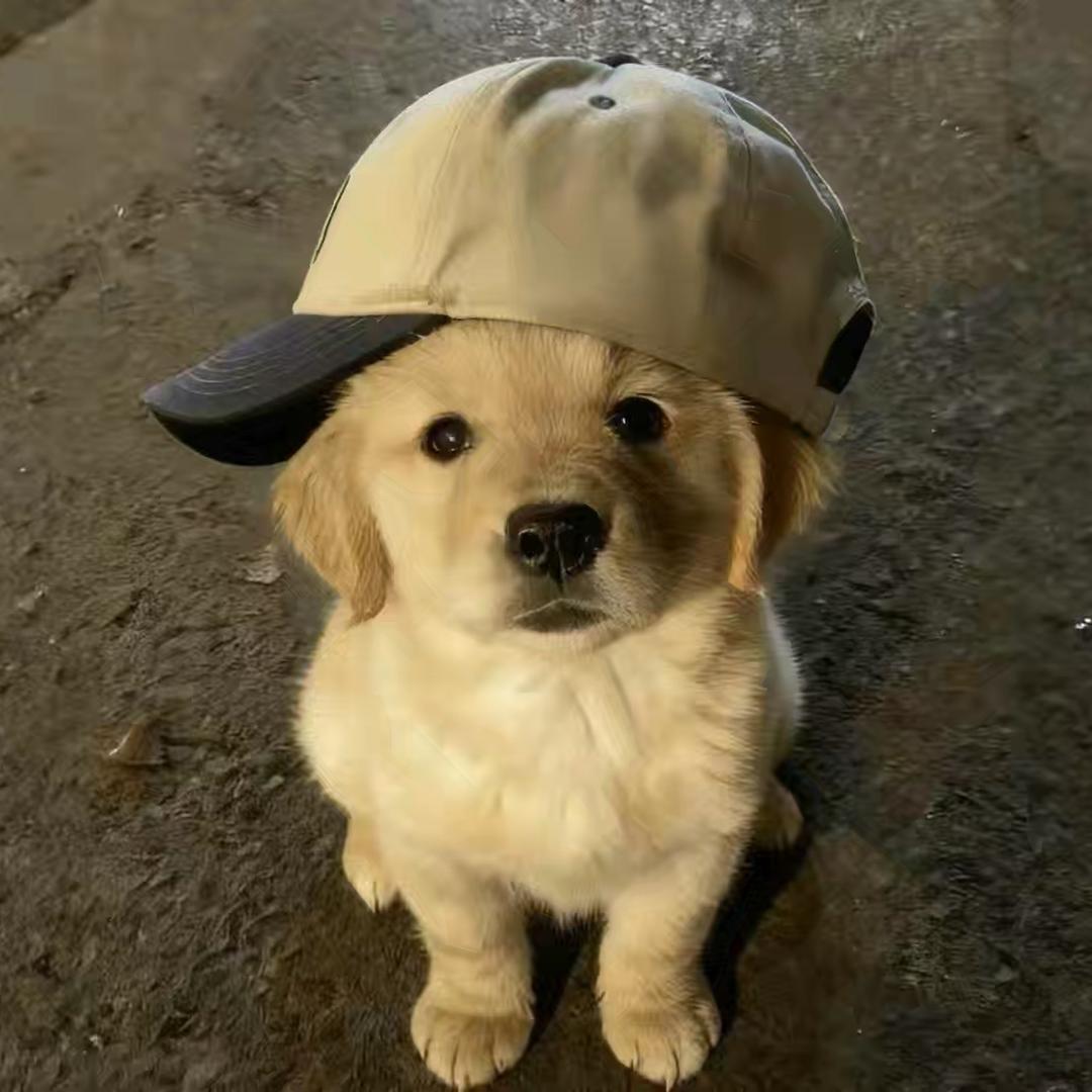 夏海𝘍𝘢𝘯𝘵𝘢𝘴𝘺.