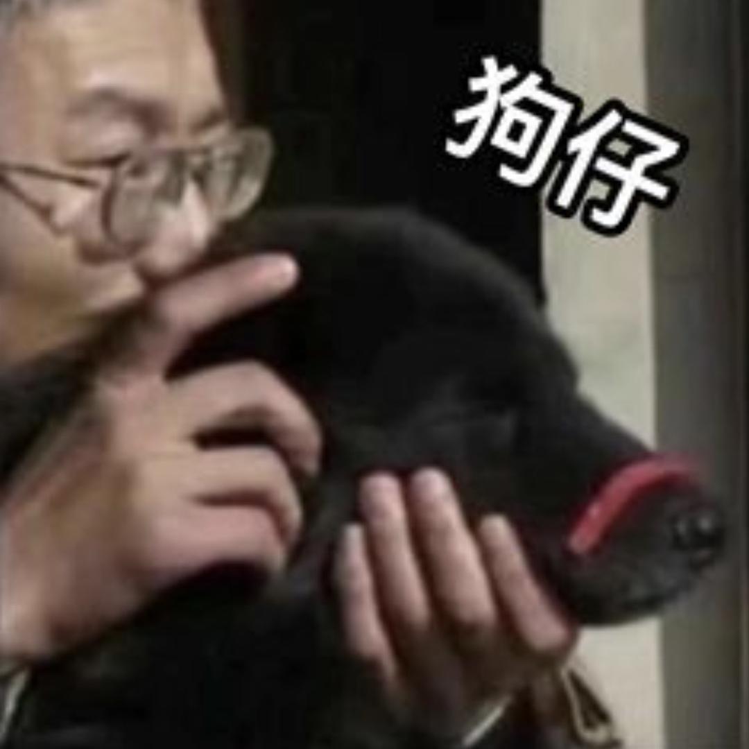 台球小狗仔