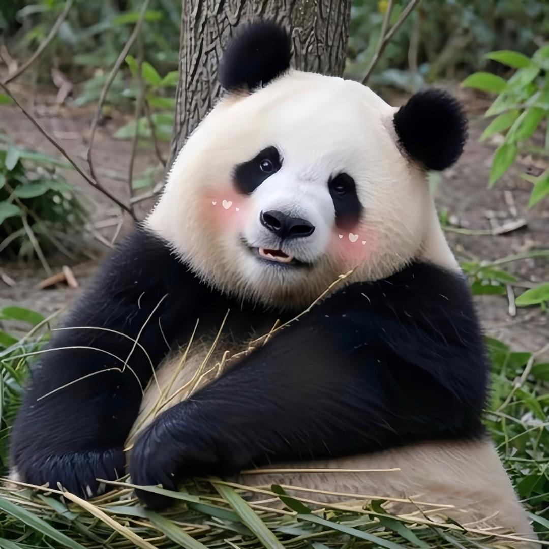 丫丫美香一家回家