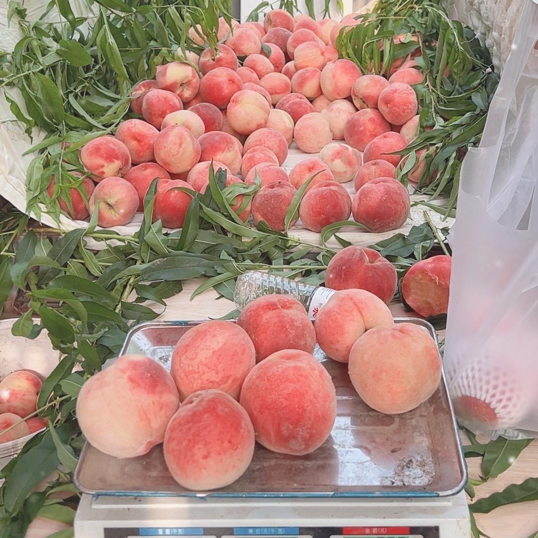 河北特产鲜果美食