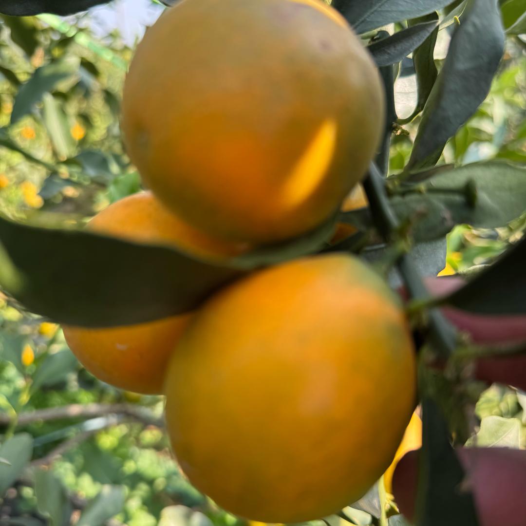 早粥夜饭的头像