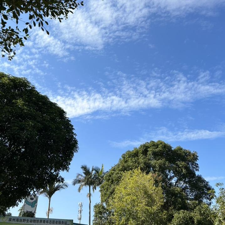 鼎迦福建厨房日用专卖店