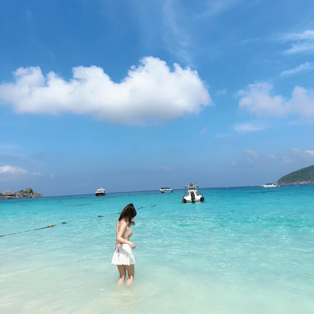 杨豆豆