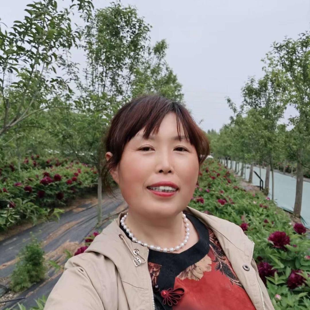 丈岭二妮肉食