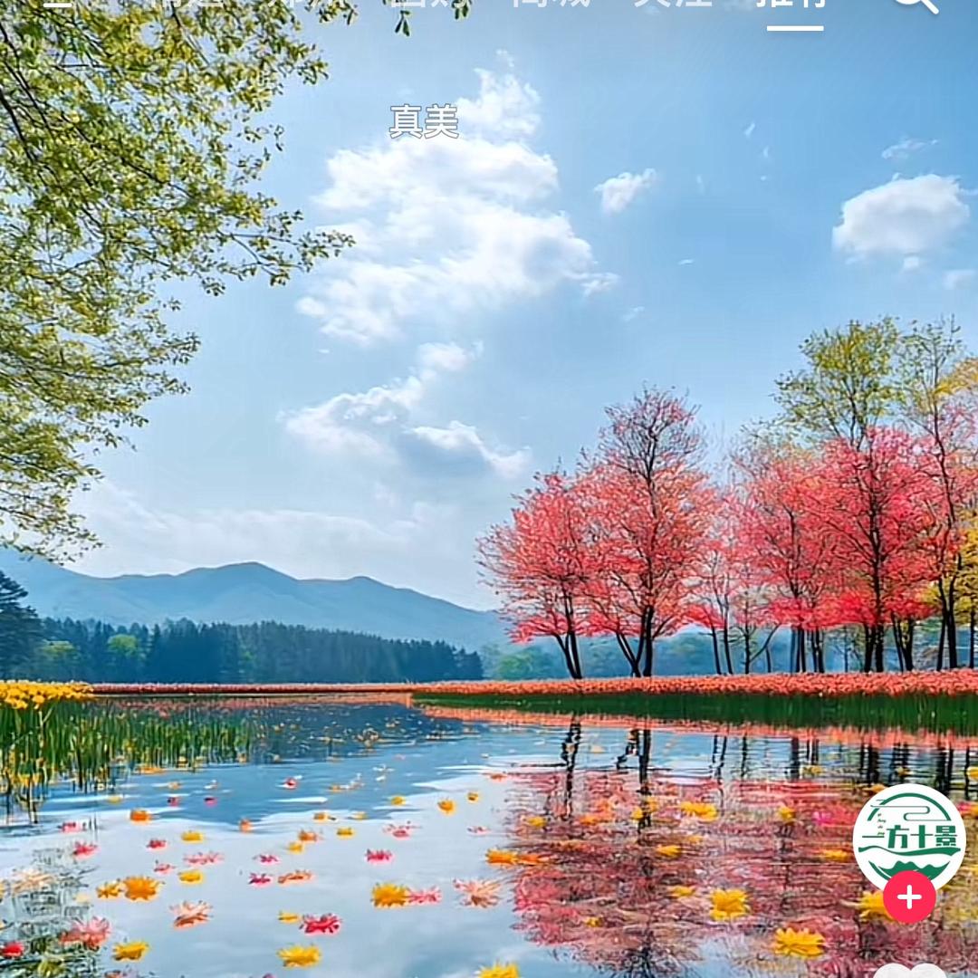 万事顺意