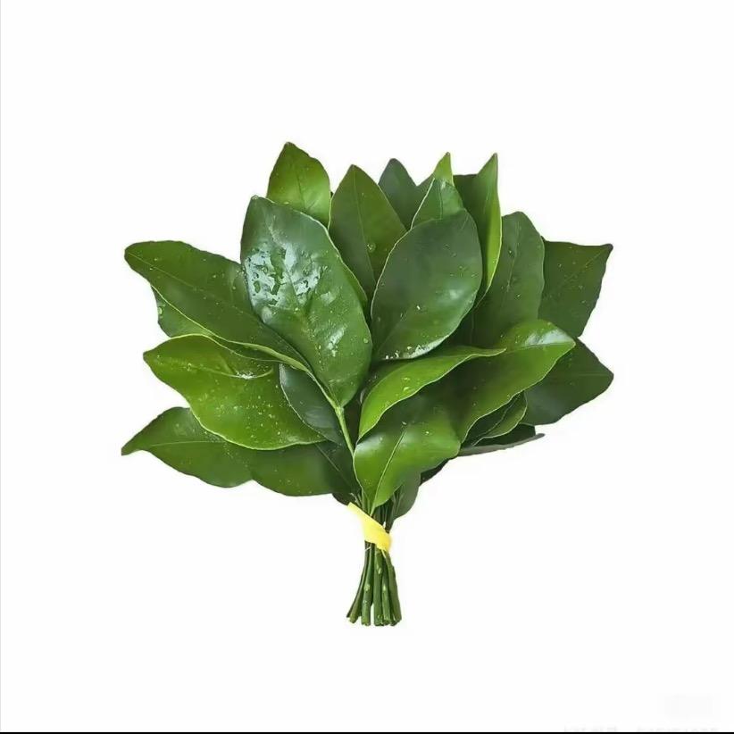 @喜欢开e300的男人