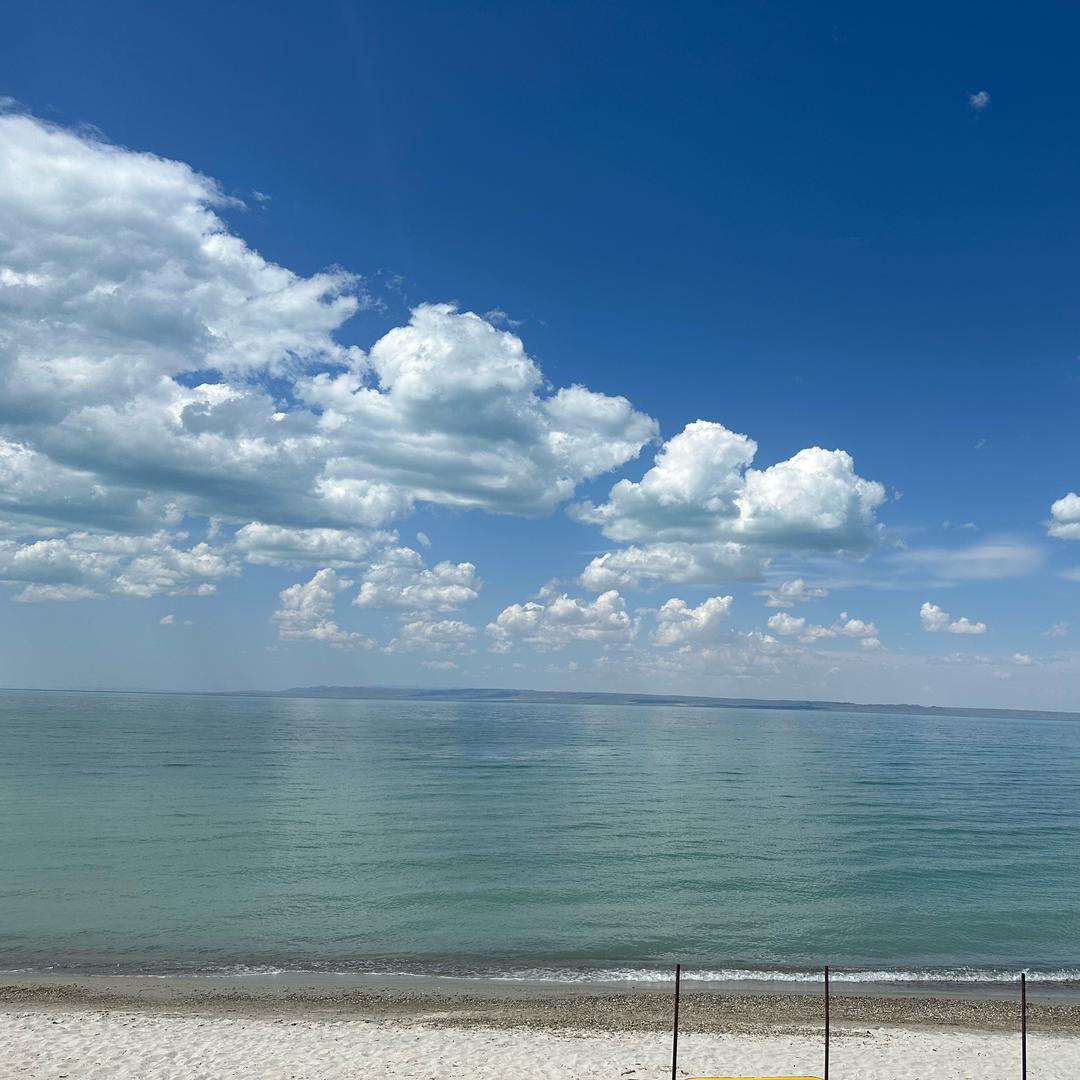 美创好物推荐官