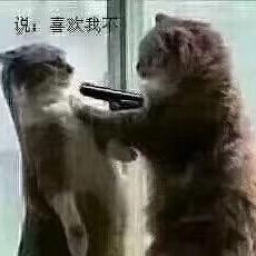 H. C C
