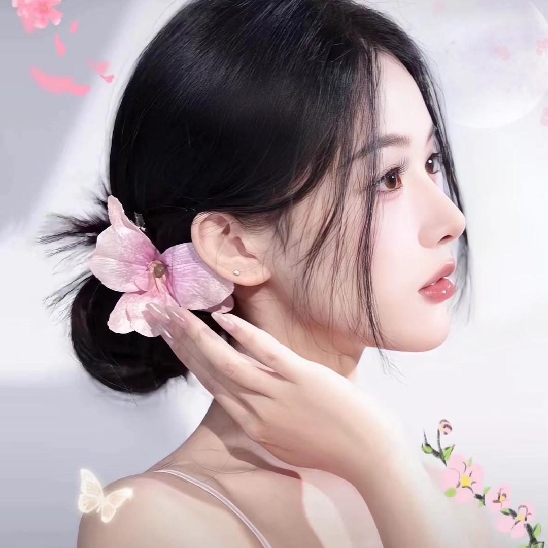 佳珈