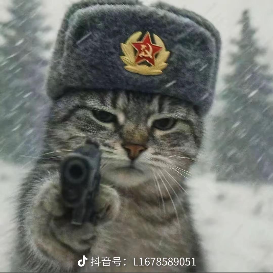 万物皆虚空