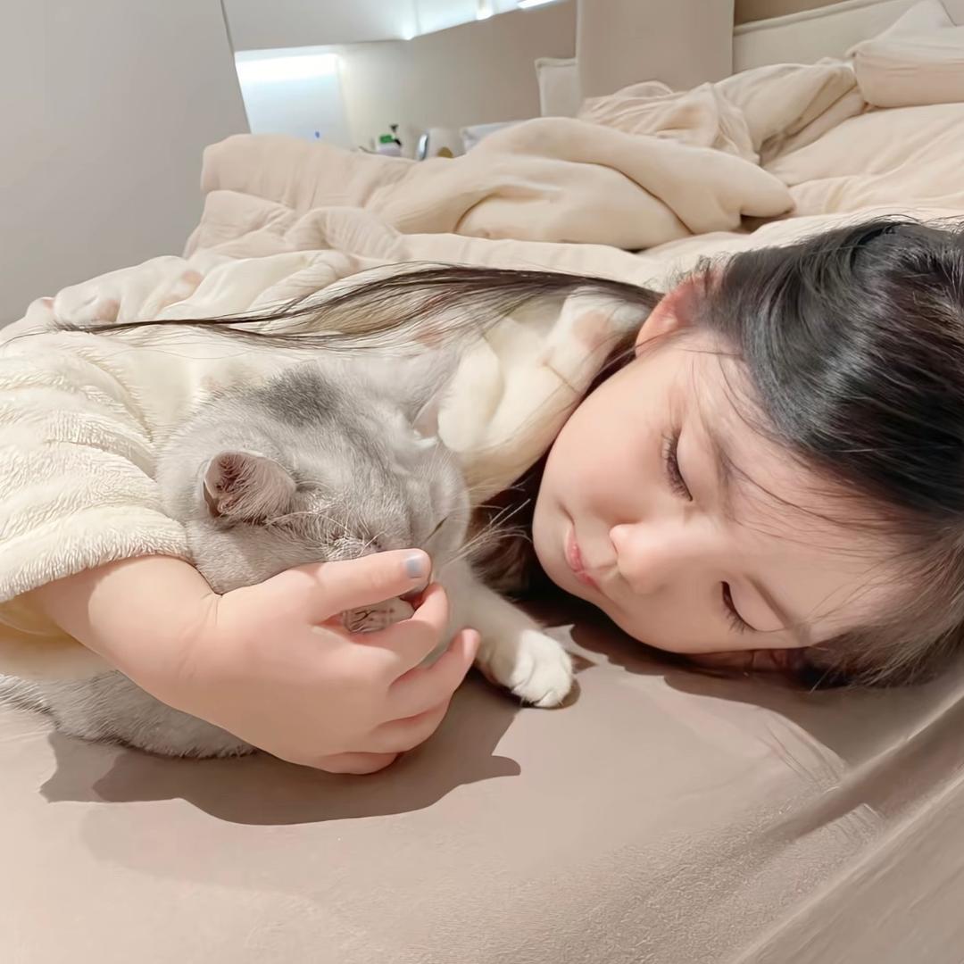 纯爱土豆饼^