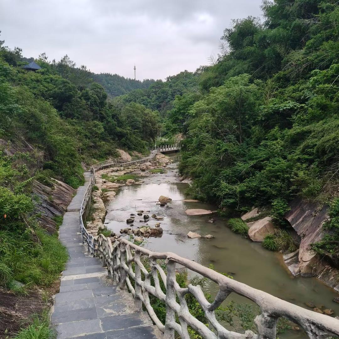 钱多多🌴🌴🌴