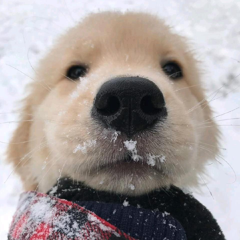 🌈🌈这个也喜欢那个我也要