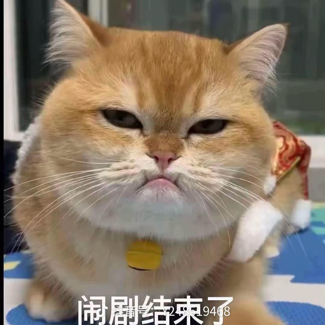 bin