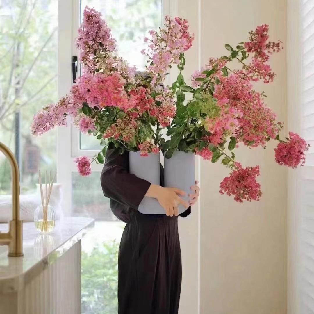 🌱 娟儿