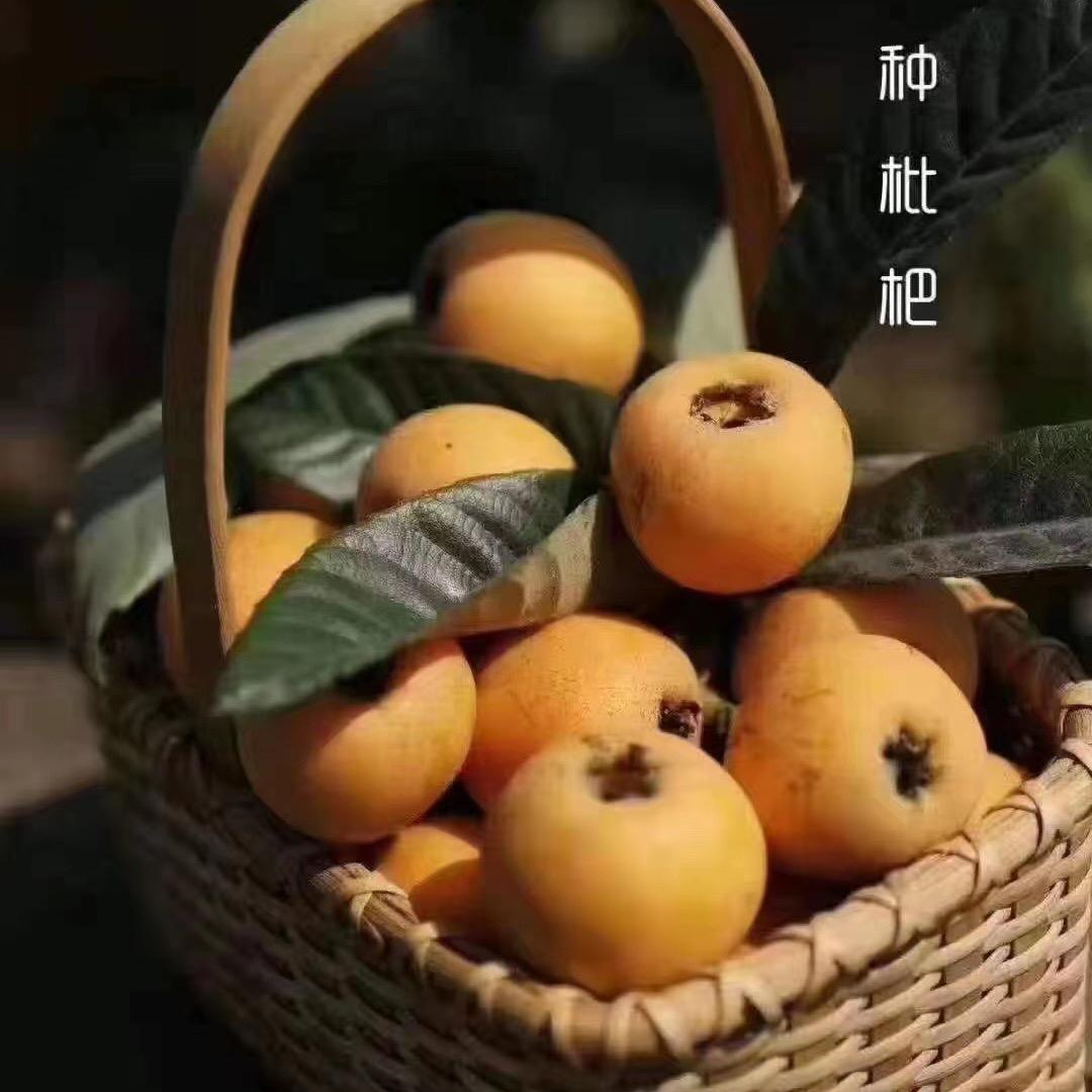 我叫玲玲
