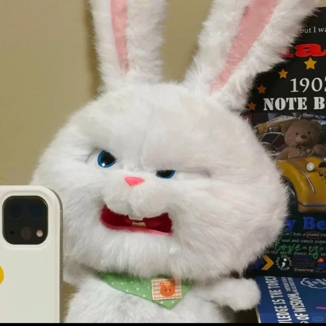 阳障障(三角洲行动）