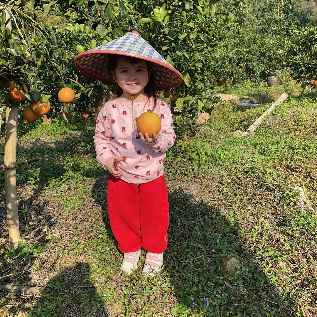 是以宝呀