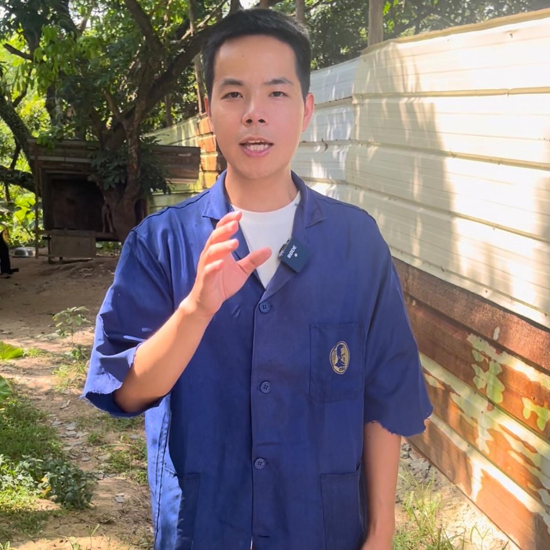 小叶聊聊狗