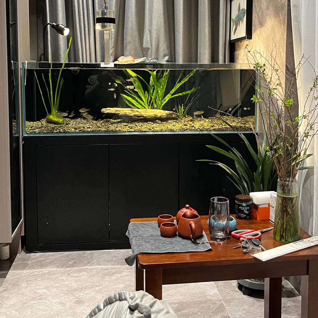 柘城亮亮专业配镜