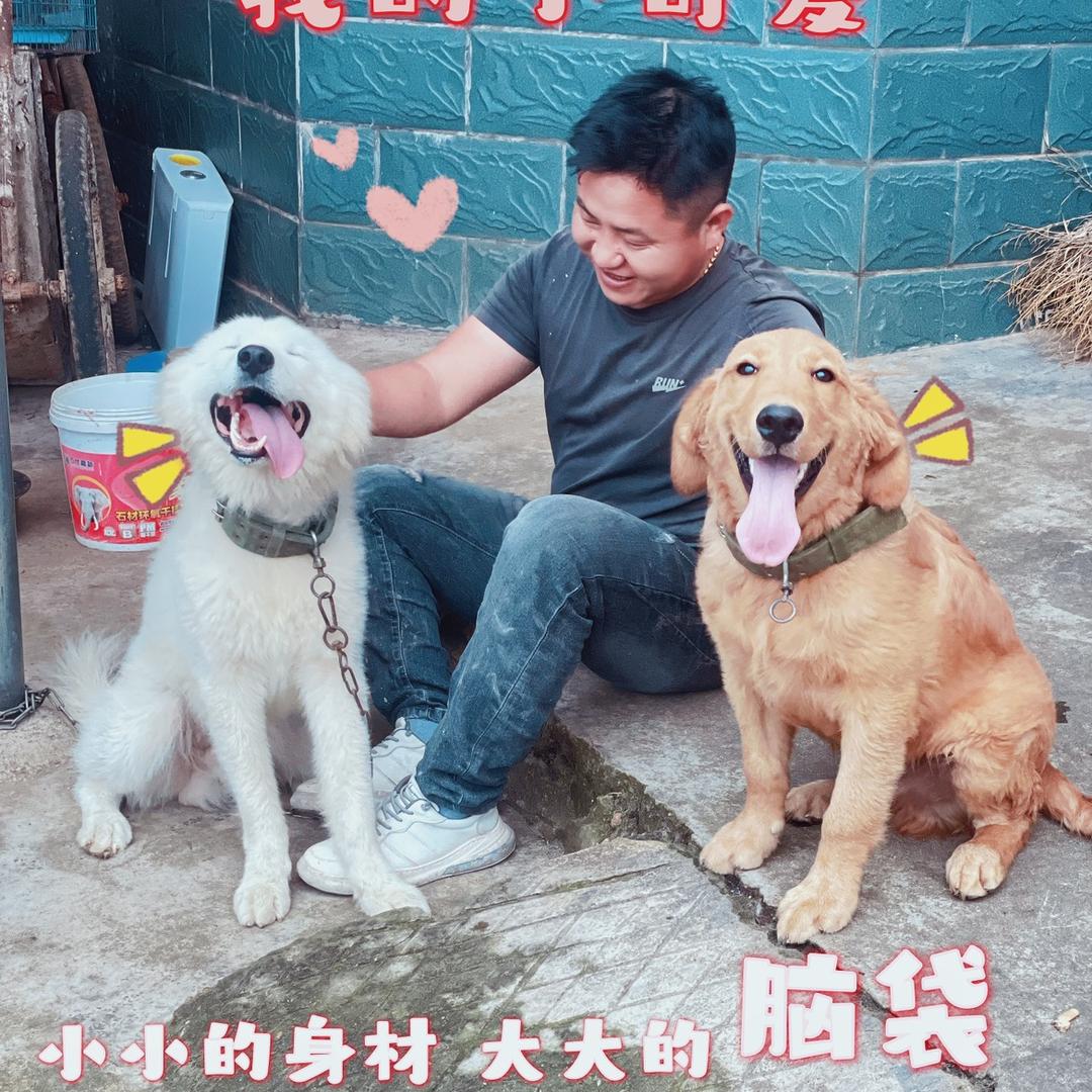 白多多和金多宝