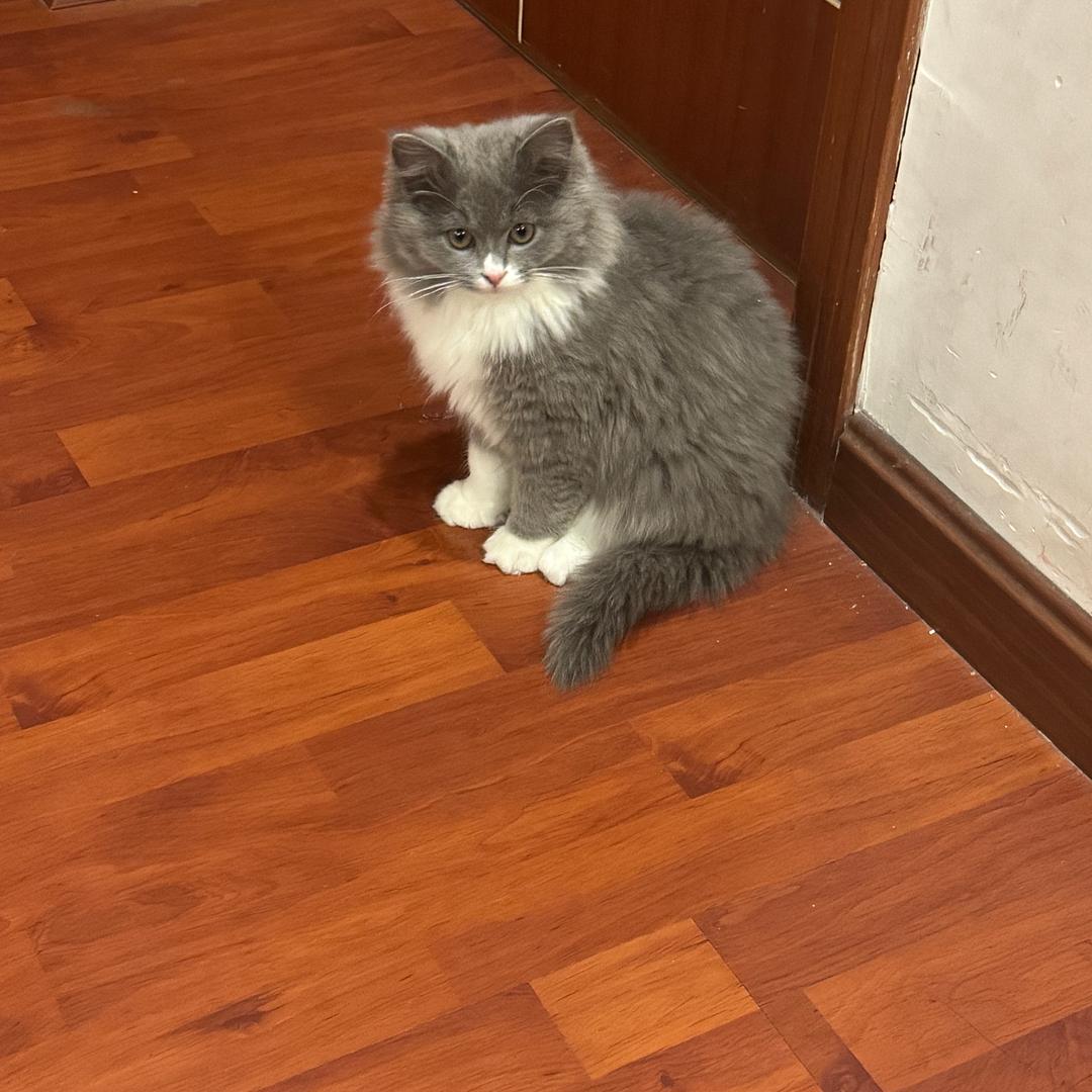 小吴