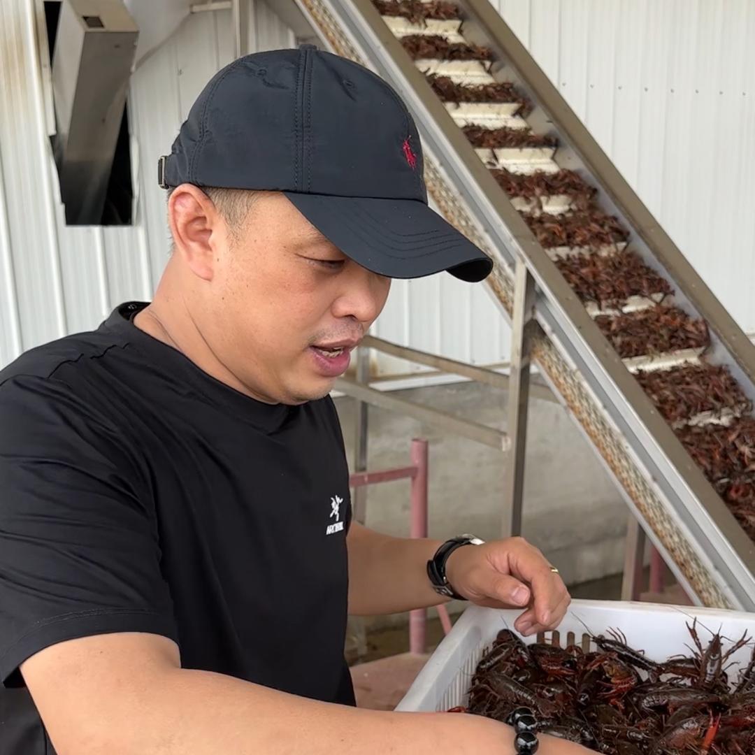 西北小龙虾大闸蟹供应链