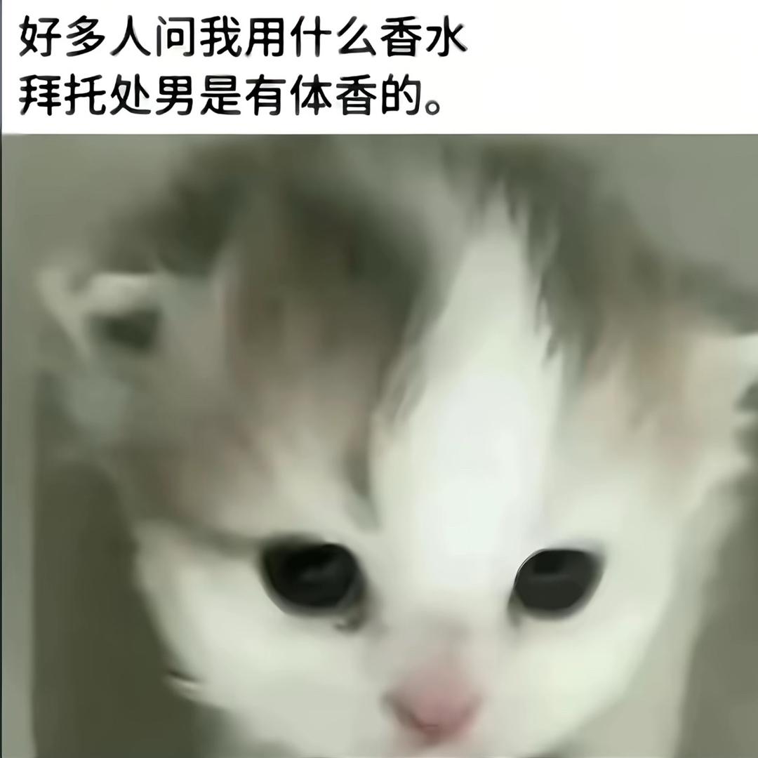 单亲爸爸（拒绝私聊）