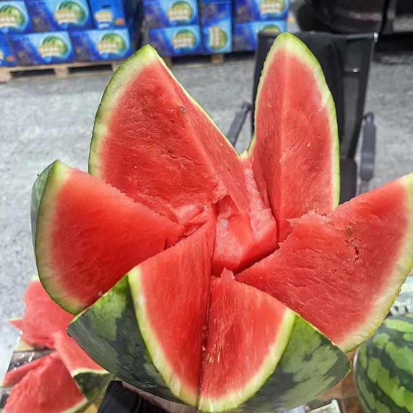 瓜芯子甄选
