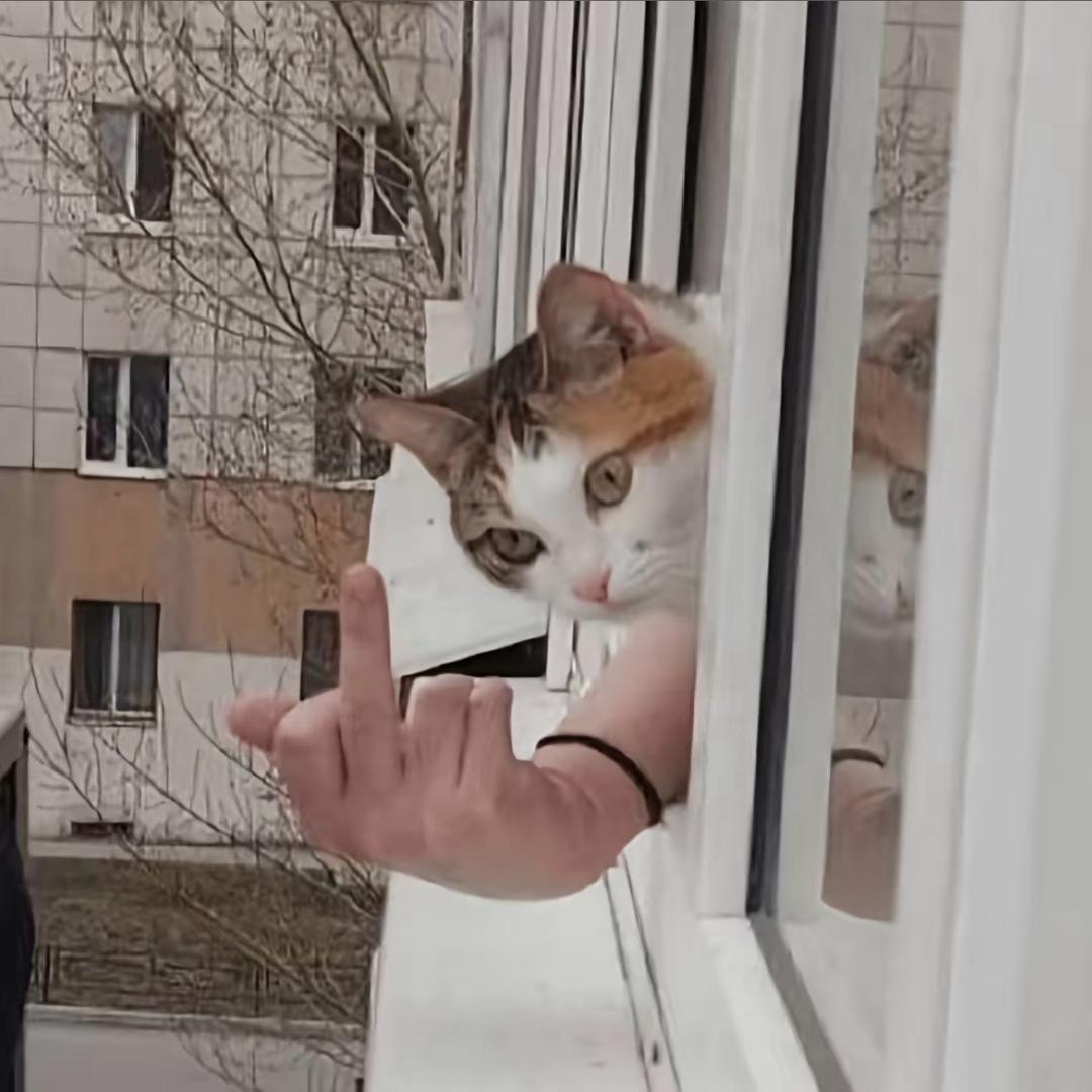 爱给擦边男点赞